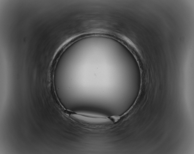 X0000083591364200703021832