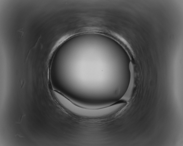 X0000083591365200703021832