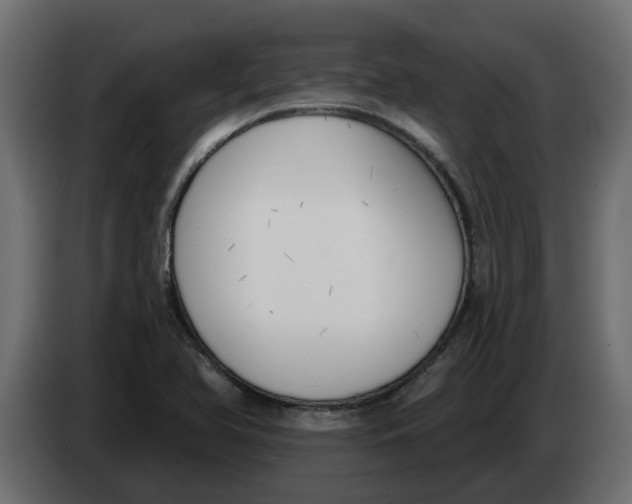 X0000083591366200703021832
