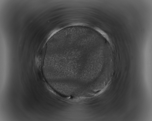 X0000083591369200703021832