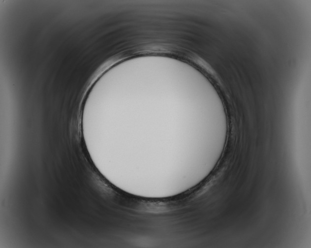 X0000083591370200703021832