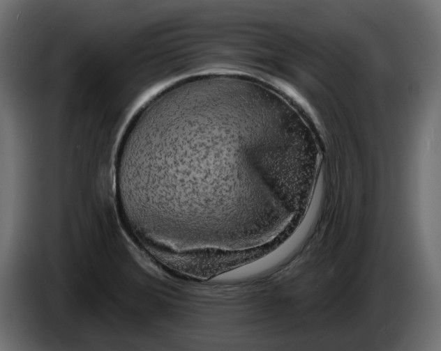 X0000083591372200703021832