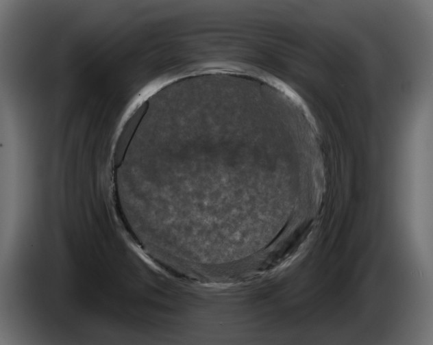 X0000083591373200703021832
