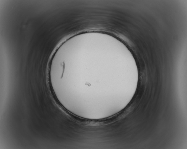 X0000083591374200703021832