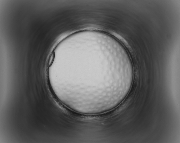 X0000083591375200703021832