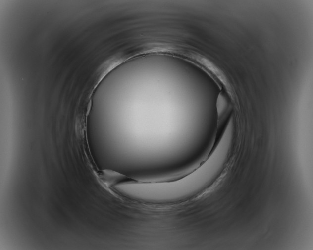 X0000083591377200703021832