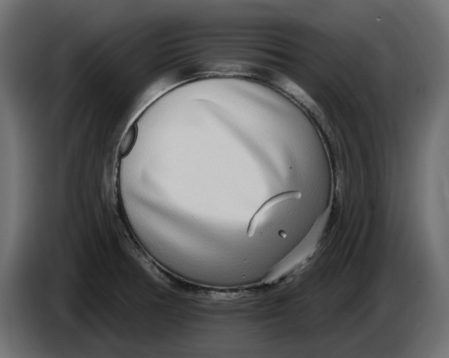 X0000083591378200703021832