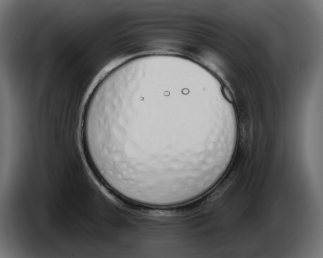 X0000083591379200703021832