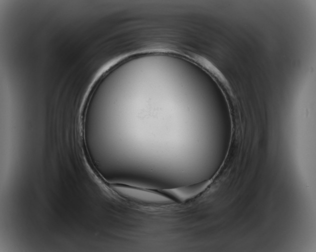 X0000083591380200703021832