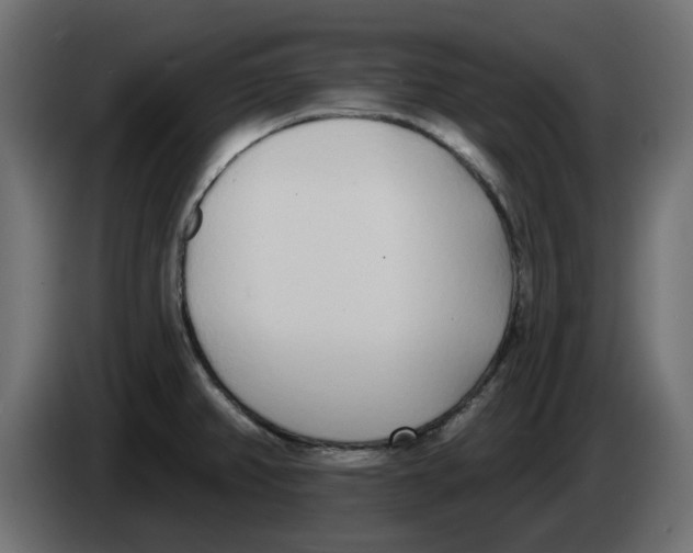 X0000083591382200703021832