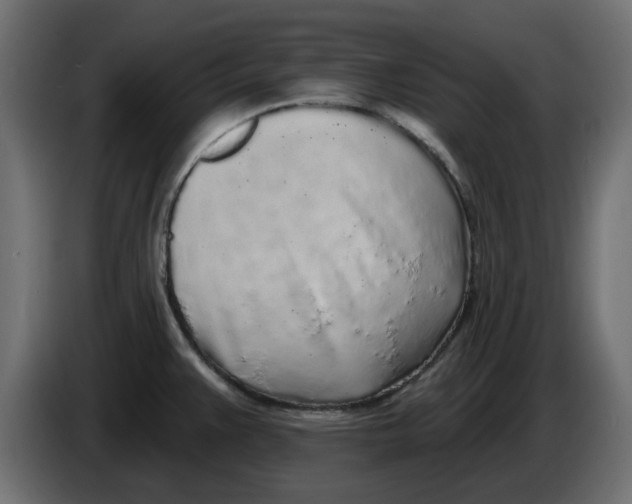 X0000083591383200703021832