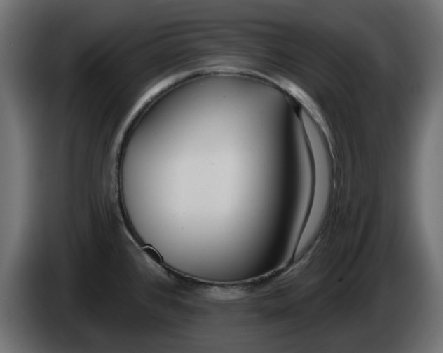 X0000083591384200703021832