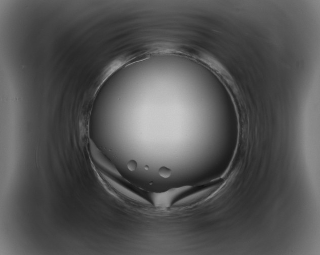X0000083591385200703021832
