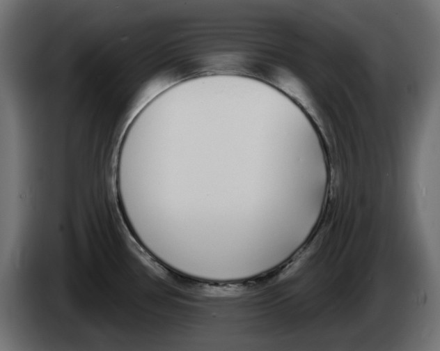 X0000083591386200703021832