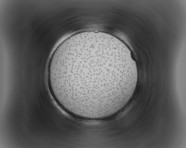 X0000083591387200703021832