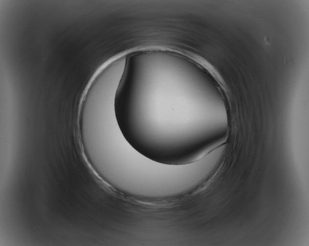 X0000083591388200703021832
