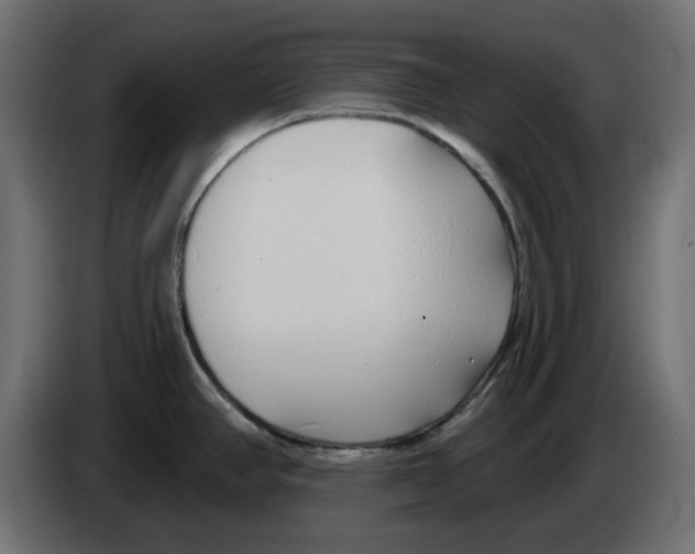 X0000083591390200703021832