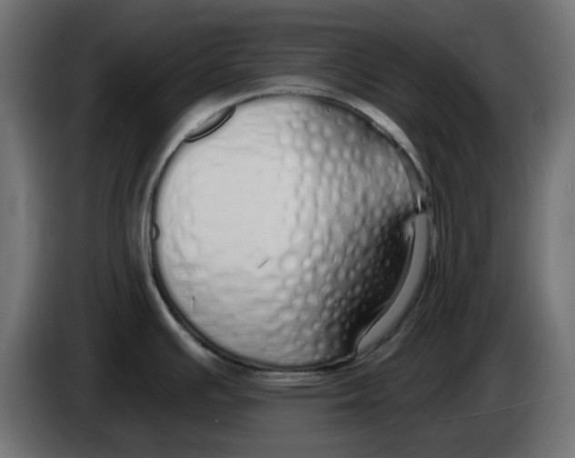 X0000083591391200703021832