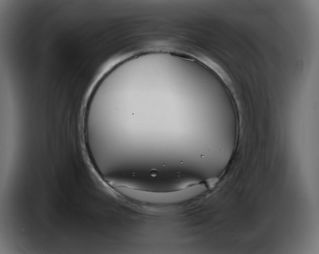 X0000083591392200703021832