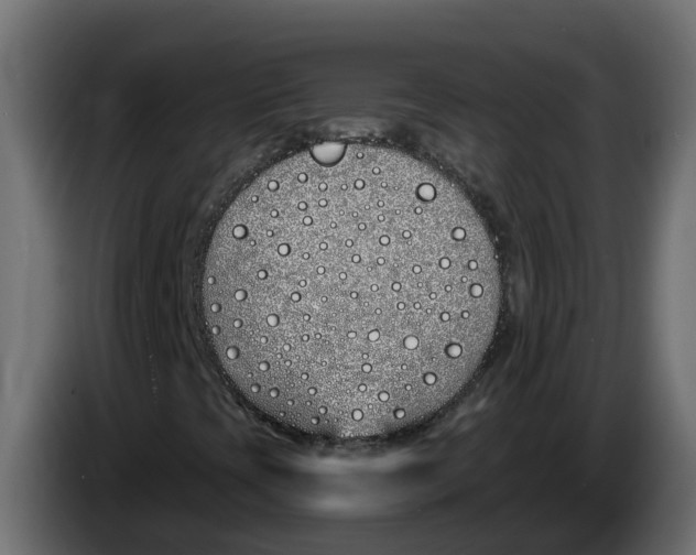 X0000083591393200703021831