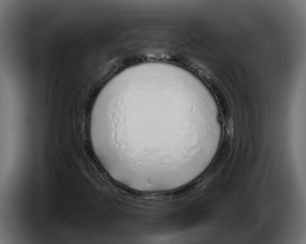 X0000083591396200703021831