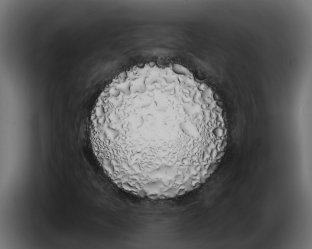 X0000083591397200703021831