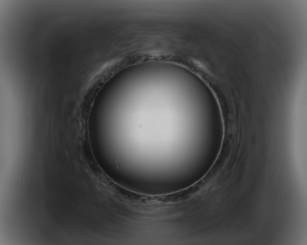 X0000083591398200703021831