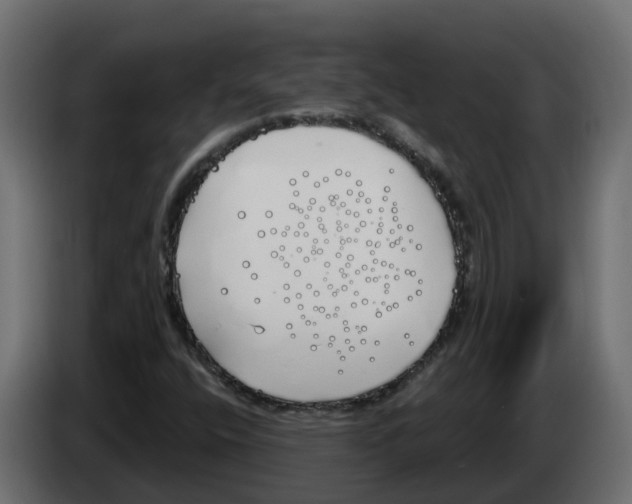 X0000083591400200703021831