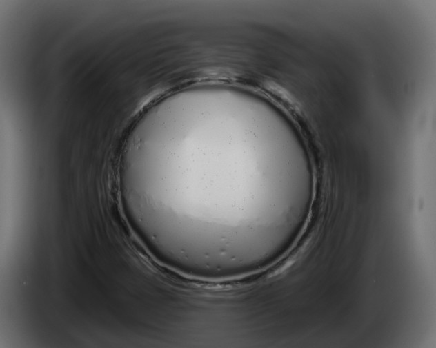 X0000083591401200703021831