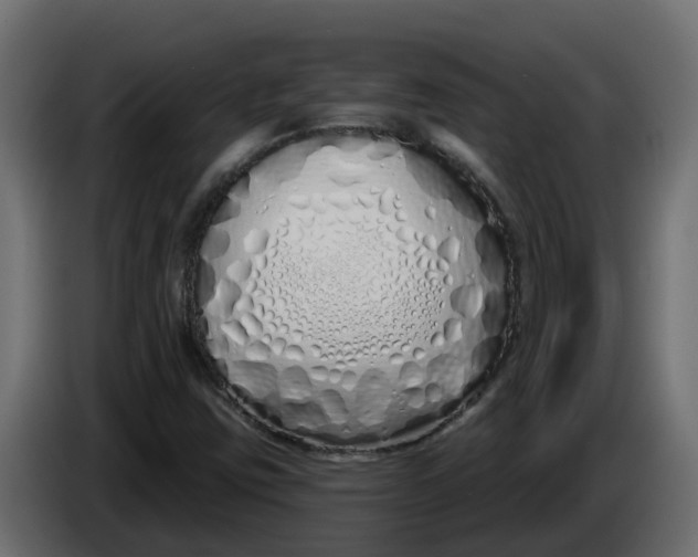 X0000083591403200703021831