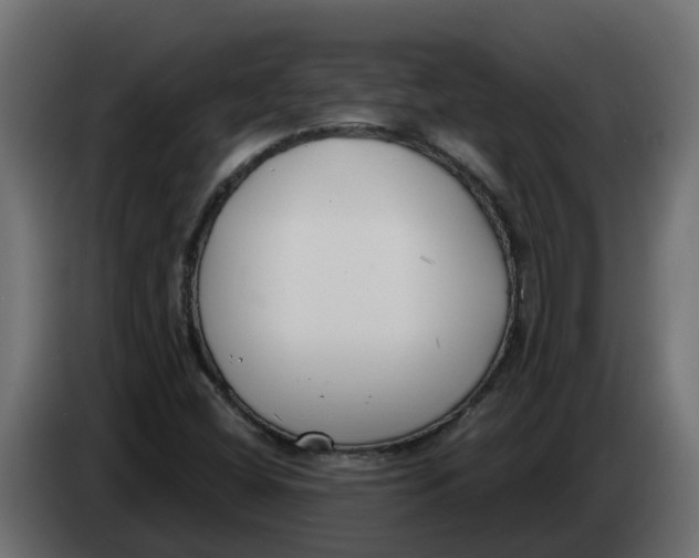 X0000083591404200703021831
