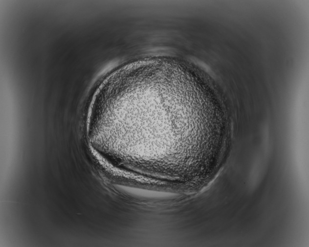 X0000083591405200703021831
