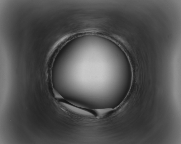 X0000083591406200703021831
