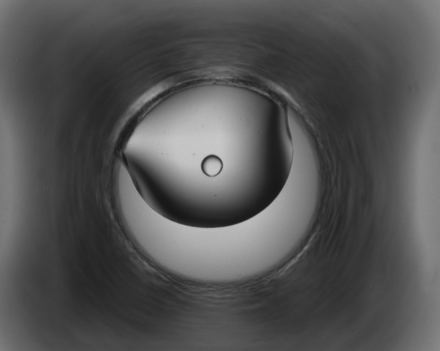 X0000083591410200703021831