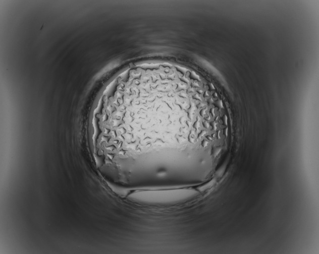 X0000083591411200703021831