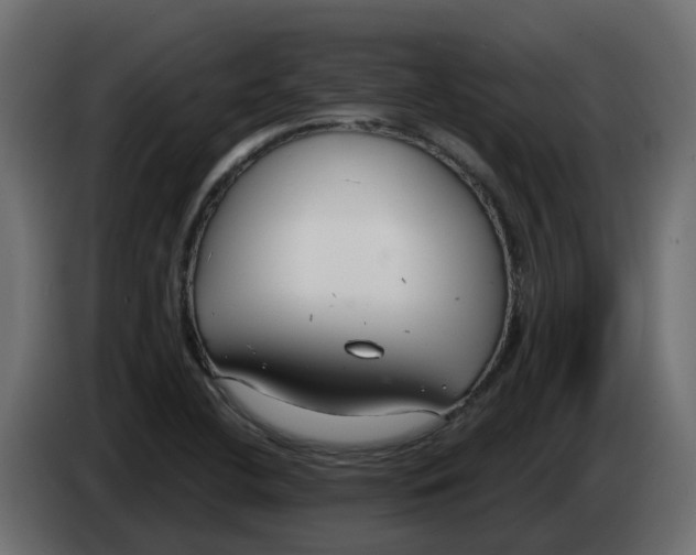 X0000083591412200703021831