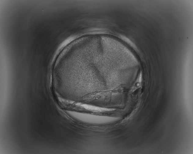 X0000083591413200703021831