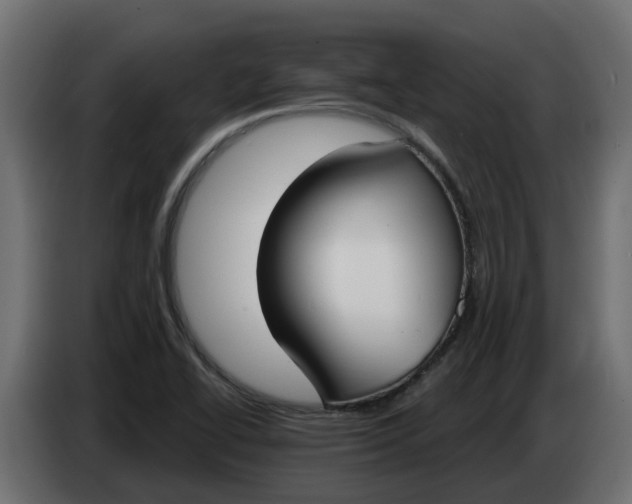 X0000083591414200703021831