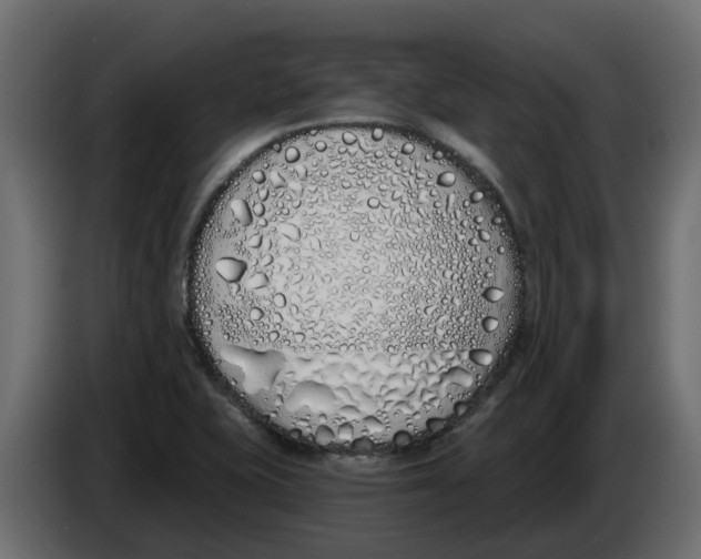 X0000083591415200703021831