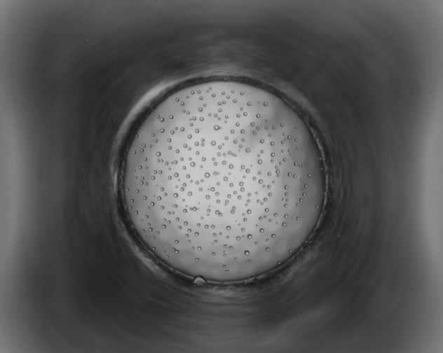 X0000083591416200703021831