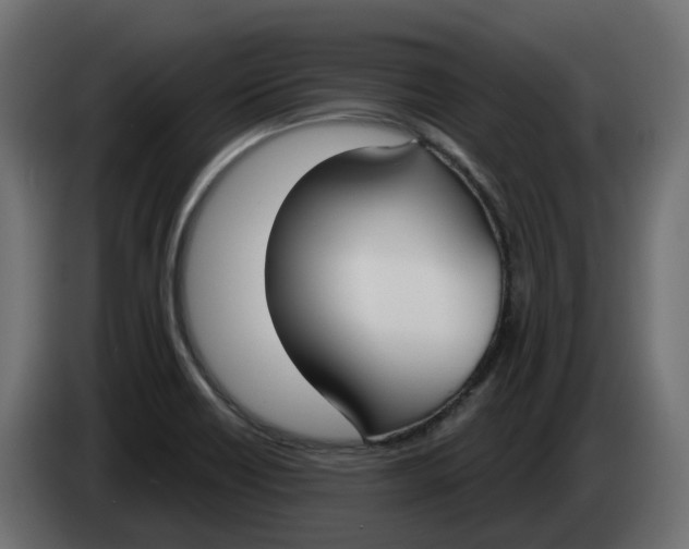 X0000083591418200703021831