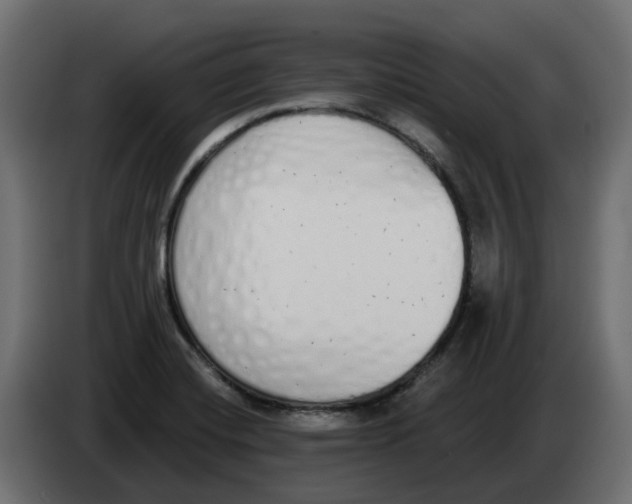 X0000083591420200703021831