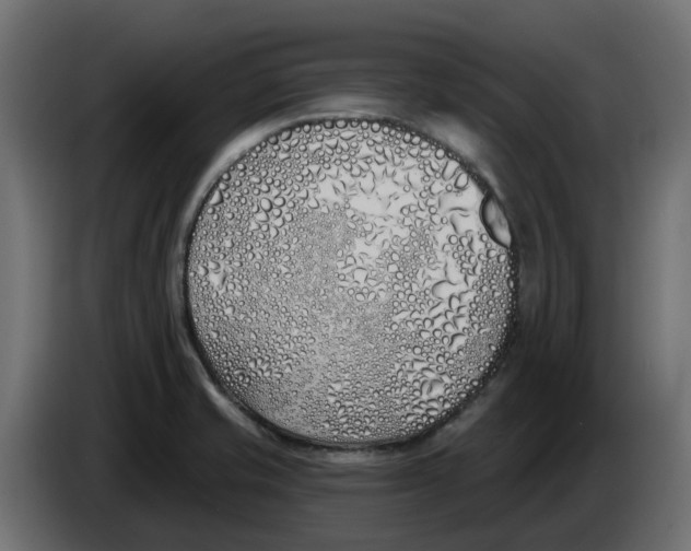 X0000083591421200703021831