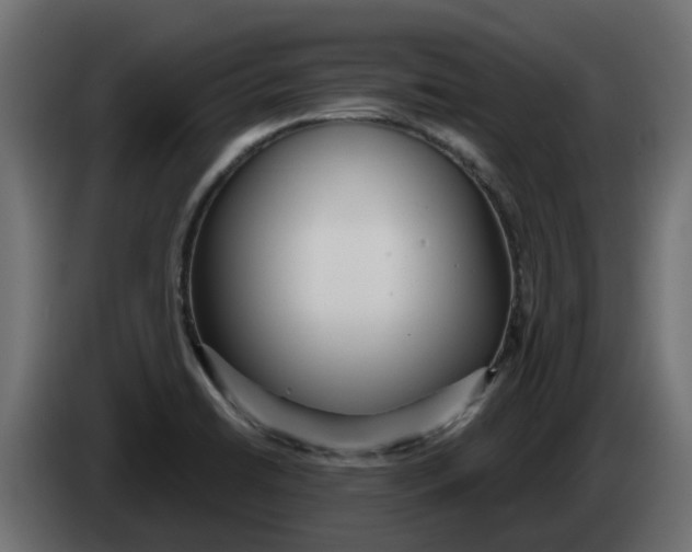 X0000083591422200703021831