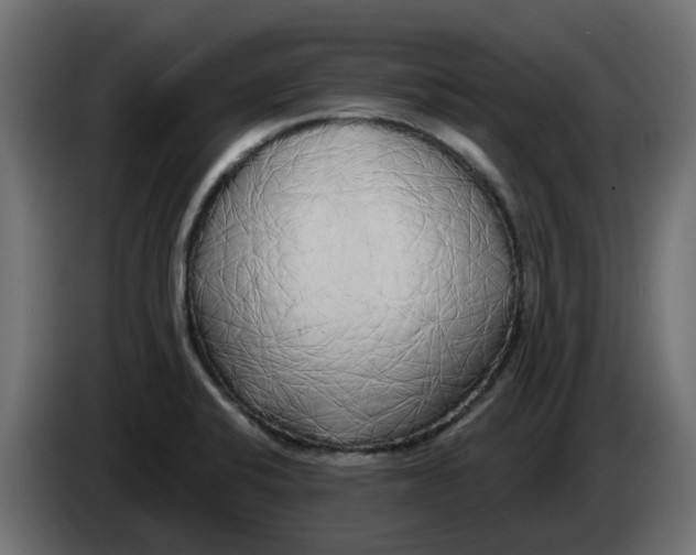 X0000083591424200703021831