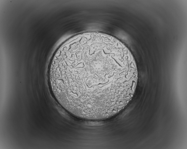 X0000083591427200703021832