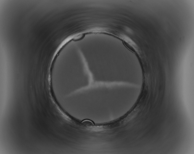 X0000083591428200703021832