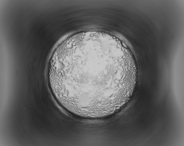 X0000083591429200703021832