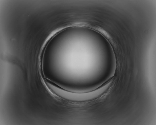 X0000083591430200703021832