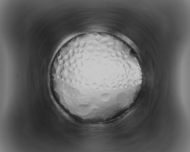 X0000083591431200703021832